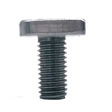 Chinese screw manufacturer Stainless Steel T Head machine Screws
